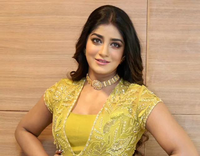 Dimple Hayathi Latest Pictures